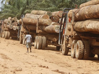 Camiones cargados de madera en Liberia.