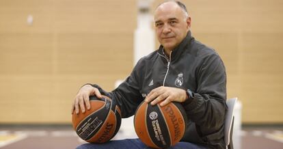 Pablo Laso, en el pabellón de entrenamiento del equipo en la ciudad deportiva de Valdebebas.