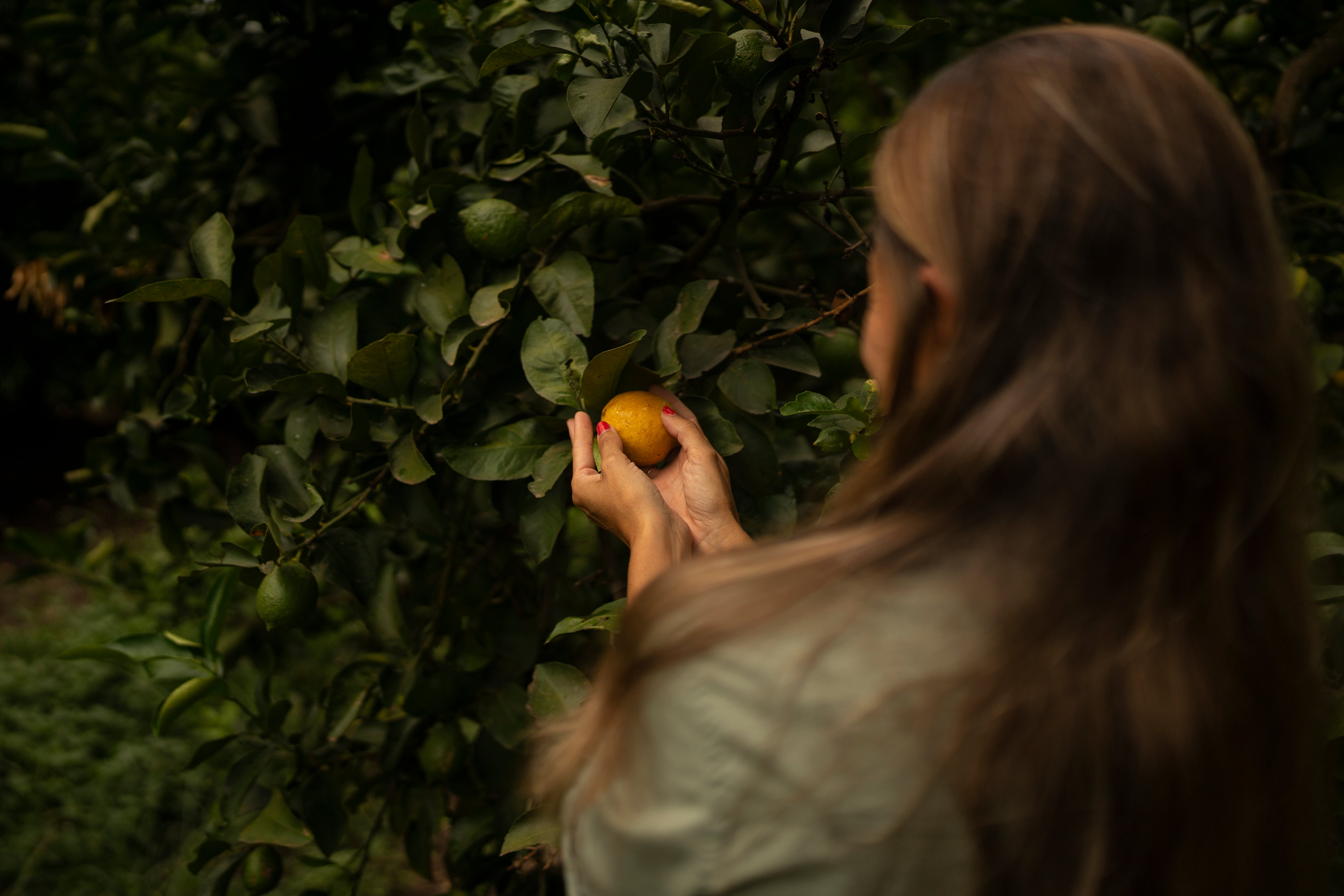 Sofía Ferrari, líder del área de sustentabilidad de Argenti Lemon, una empresa agroindustrial que produce cítricos que exporta a 32 países.