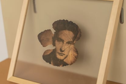 Un retrato del escritor, impreso por procesos fotoquímicos en la hoja de un árbol, exhibido en el nuevo espacio.