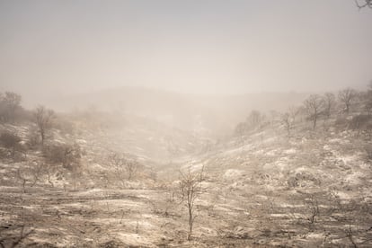 El paisaje envuelto en cenizas. 