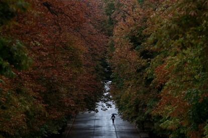 Otoño en el parque de El Retiro, en una imagen de archivo.