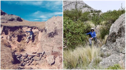 Dos fotografías del biólogo Daniel Renison en el mismo sitio en 1998 y en 2020, comparando los efectos de la reforestación en suelos desgastados en Los Gigantes, Córdoba (Argentina).