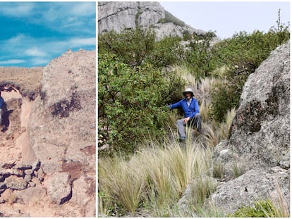 Dos fotografías del biólogo Daniel Renison en el mismo sitio en 1998 y en 2020, comparando los efectos de la reforestación en suelos desgastados en Los Gigantes, Córdoba (Argentina).