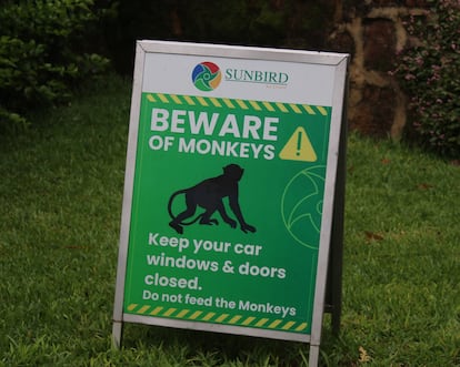 Un cartel del hotel Sunbird Kuchawe, que advierte a sus clientes de la presencia de monos.