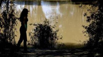 Una joven observa el cauce del Guadiamar a su paso por el corredor verde creado para regenerar este río, que el 25 de abril de 1998 sufrió una riada tóxica de 6 millones de metros cúbicos, causada por la rotura de la balsa de residuos de la mina de Aznalcollar. EFE/Archivo