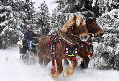 Un carruaje tirado por caballos avanza por la nieve, en Oberhof (Alemania).