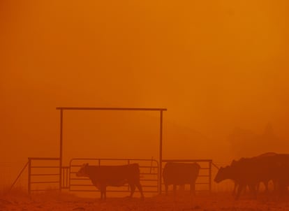 Incendios en San Francisco