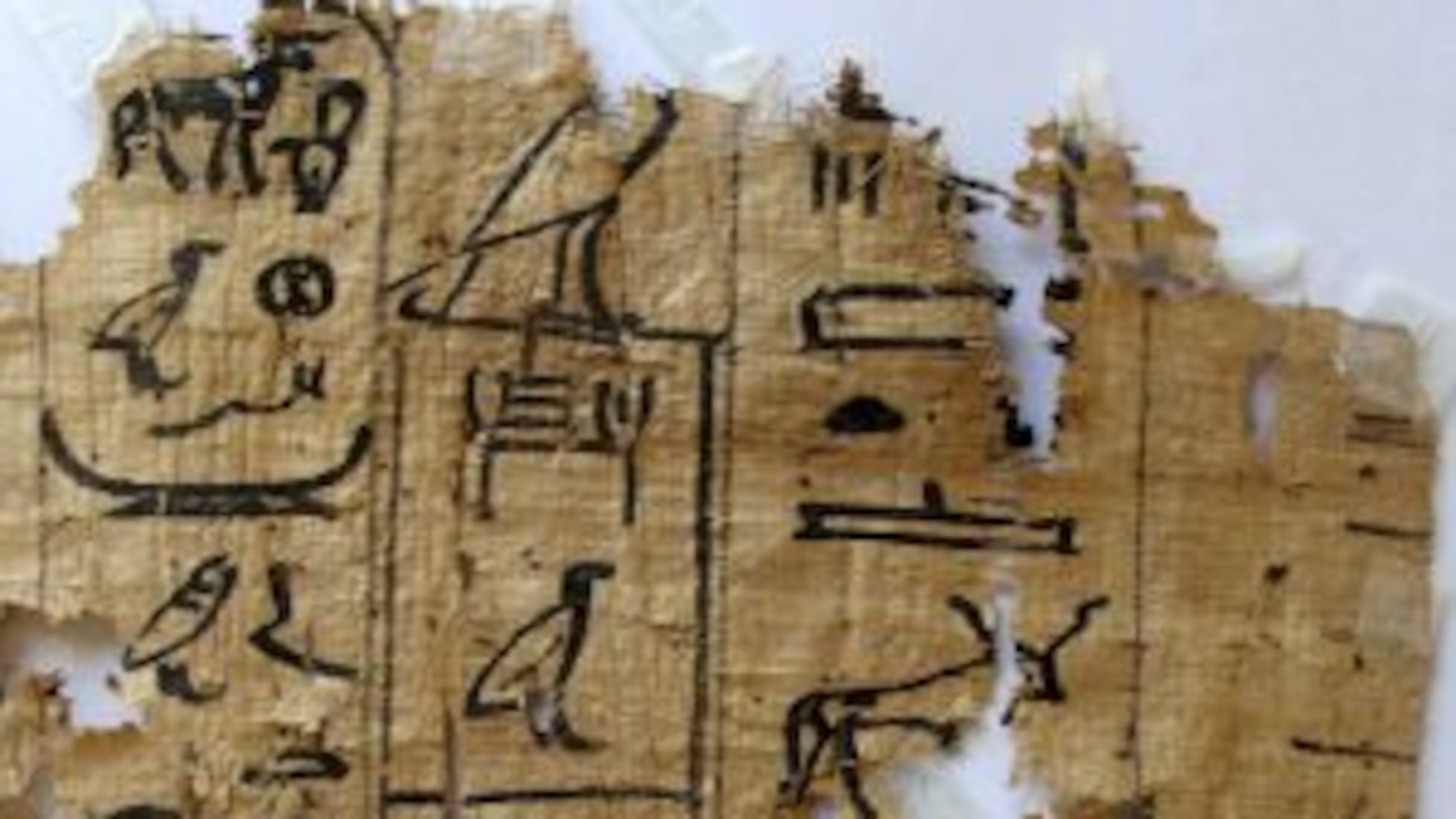 Los papiros más antiguos, hallados en Egipto | Cultura | EL PAÍS