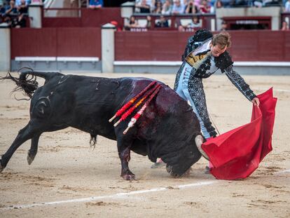 Román torea al natural al toro Orgulloso de Fuente Ymbro, el pasado 11 de mayo.