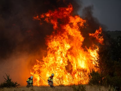 Los bomberos del Ayuntamiento de Zamora luchan contra el fuego en la localidad de Losacio
