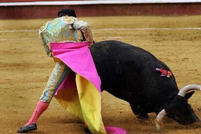 El toro pierde las manos ante un capotazo de Paco Ramos.