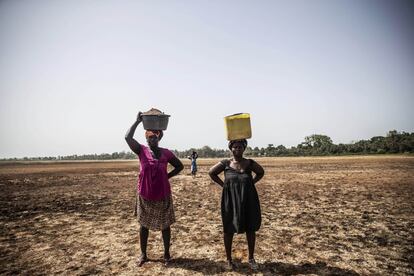 El océano Atlántico baña 350 kilómetros de costa del Guinea-Bisáu; en los estuarios abundan los mariscos y la sal, cuya búsqueda y extracción son el principal sustento de las mujeres rurales del litoral cuando no es temporada de colecta del anacardo.