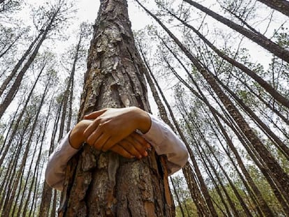 Menino celebra o Dia Mundial do Meio Ambiente no bosque de Gokarna, no Nepal