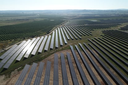 Un gran parque solar de 50 megavatios en Almaraz, Extremadura.