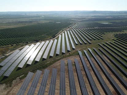 Un gran parque solar de 50 megavatios en Almaraz, Extremadura.