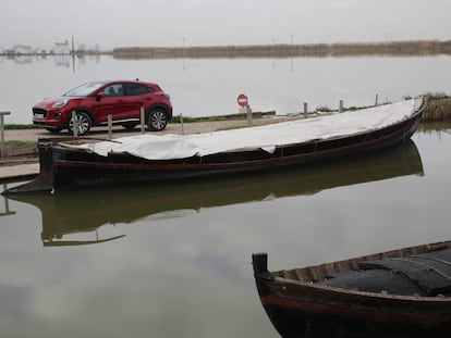 De la laguna al mar: la vida acuática de la Albufera valenciana