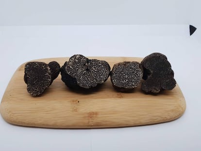 Trufas negras. De izquierda a derecha, 'melanosporum', 'brumale', 'indicum' e 'himalayensis'. J. C CAPEL