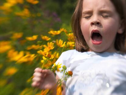 Alergias infantiles, ¿se nace con ellas o se desarrollan después?