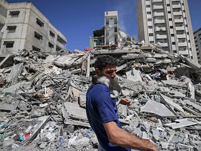 Un palestino, con un gato rescatado entre las ruinas de un edificio bombardeado por Israel, este martes, en Gaza.