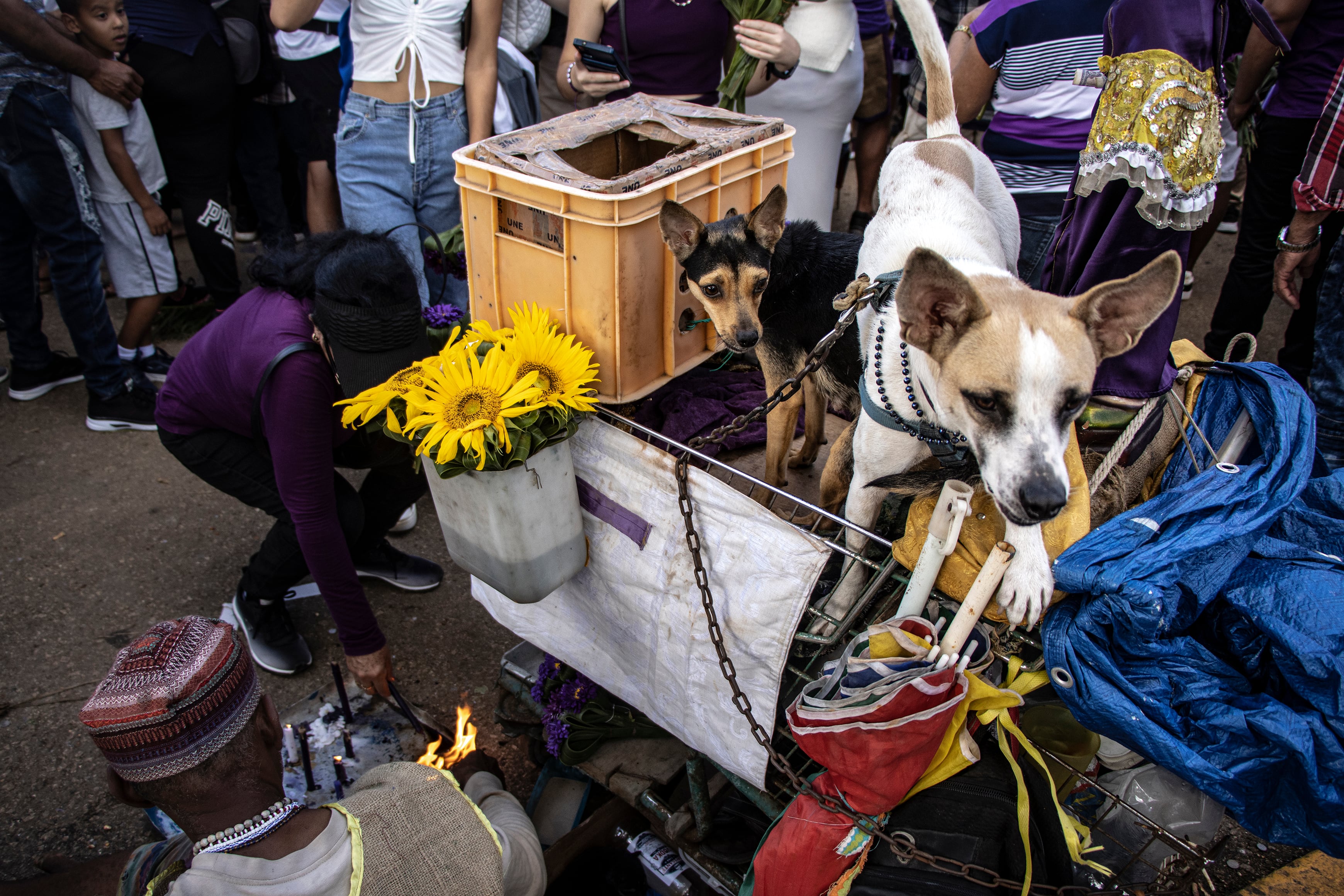 PYJHJDY7MNAUHGGLRKRZCBUMLI.jpg?auth=03da7f774bd6d9be17d5d9aeba4f5048ec0282bb4fb0b55fbf50fbe682155d52