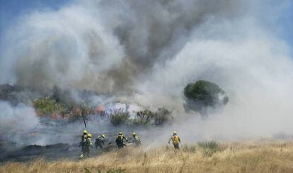 Bomberos de la brigada helitransportada de Valdemorillo, durante la extinción de un incendio en El Álamo en 201