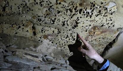 El investigador Fernando Muñiz señala una de las piedras modificadas por fauna marina y utilizada de forma intencionada para cubrir el pasillo del 'tholos' de La Pastora. El efecto recuerda un cielo estrellado.