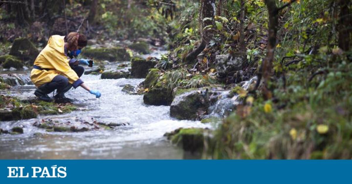 El agua del futuro, en peligro | Noticias de actualidad | EL PAÍS