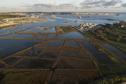 Las ventajas geopolíticas de la Bahía de Augusta (costa este de sicilia) favorecieron el desarrollo de la industria en la región. Durante décadas la planta ENI vertió ilegalmente aproximadamente 500 toneladas métricas de mercurio en la bahía, y se estima que ahora hay un total de 18 millones de metros cúbicos de lodos tóxicos en el fondo del mar, lo que representa una gran amenaza tanto para la salud como para el medioambiente.