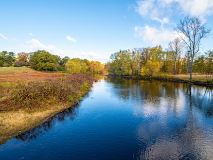 Vista del río Concord, en Concord, Massachusetts (Estados Unidos).