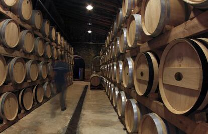 Sala de barricas en una bodega mallorquina