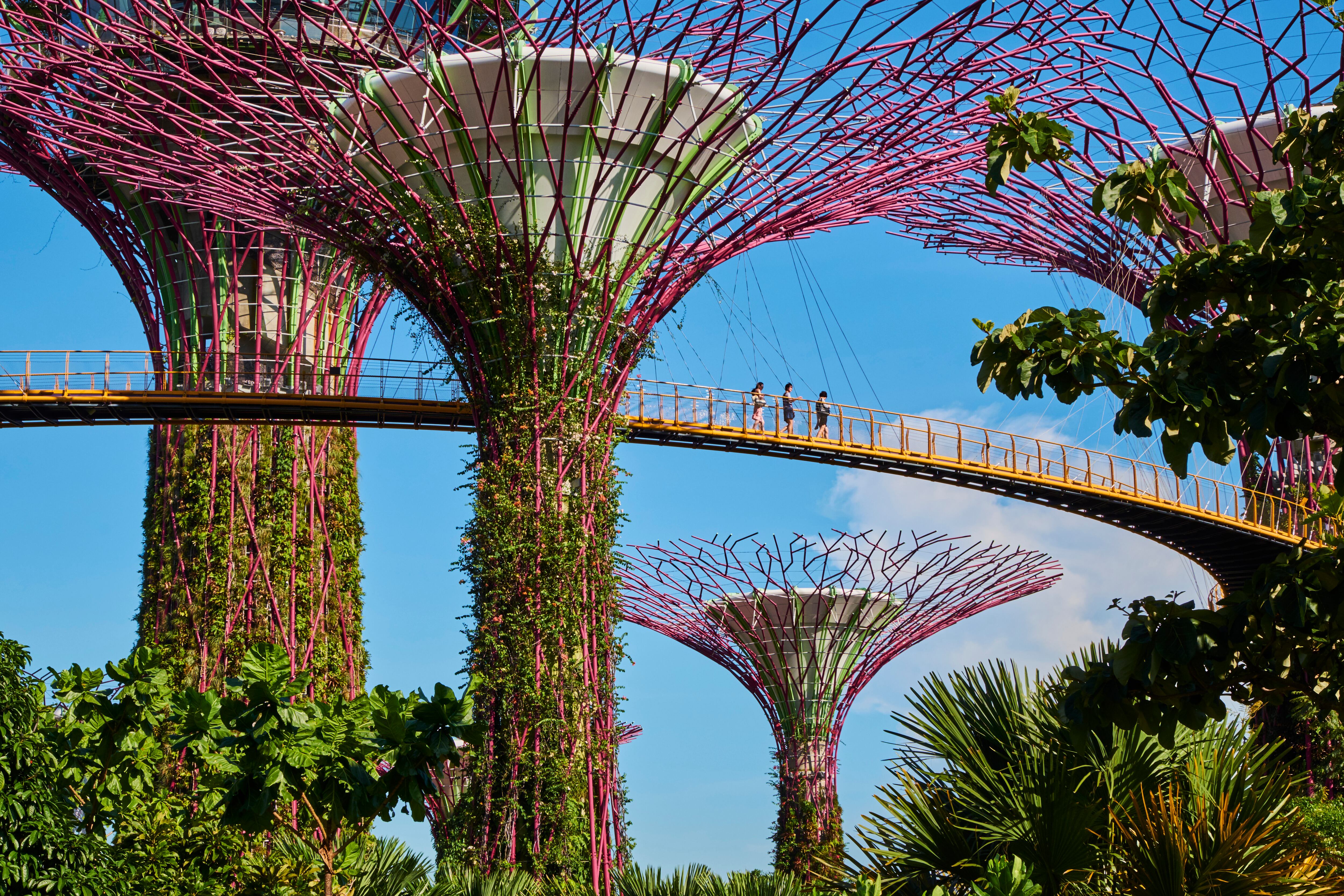 Uno de los reclamos turísticos más potentes de Singapur: los superárboles de Gardens by the Bay.