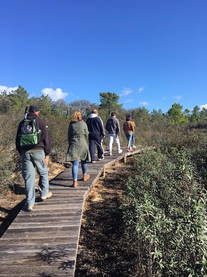 Un grupo en una ruta de ornitología en Comporta (Portugal).