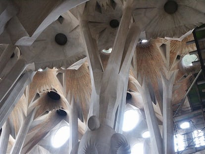 Gaudí, devoto de la belleza de lo natural, hizo de los árboles un motivo técnico y decorativo que emplearía en una de sus obras cumbre, la Sagrada Familia. Las columnas y la bóveda de la exuberante iglesia barcelonesa son una especie de bosque esculpido. Debajo de él yacen otras formas pétreas: moluscos, tortugas, frutas. Gaudí sacó provecho de su amor por la naturaleza en otras construcciones, como el Park Güell, poblado de piedras que podrían ser reptiles, o la Casa Milà, donde impera la línea curva como símbolo del crecimiento orgánico. "Lo hicieron muchos otros artistas, entre ellos genios como Da Vinci o Dalí", añade Aparicio.