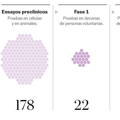 tracker vacuna