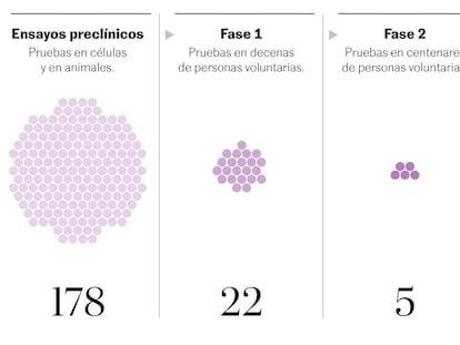 ¿En qué fase está cada vacuna?