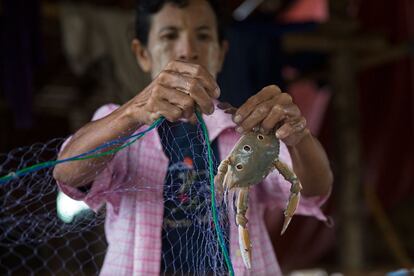 Un hombre desenreda un cangrejo de su red de pesca en Dawei. La construccion de la Zona Económica Especial ha sido muy polémica desde que se denunciara que desplazará a miles de residentes locales de al menos cinco aldeas.