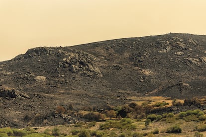 Monte arrasado por las llamas junto a la localidad de Porto, donde se originó el incendio.