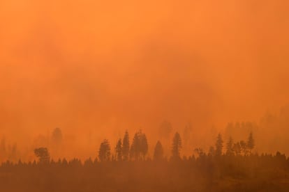 Para el domingo, el incendio Park había quemado una zona más grande que la ciudad de Los Ángeles.