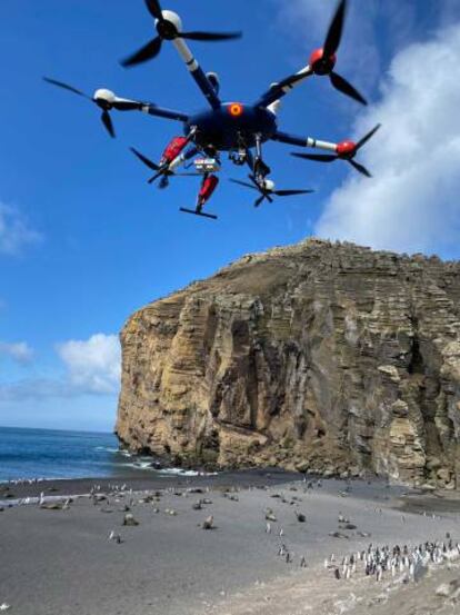 Un dron sobrevuela la pingüinera de isla Decepción.