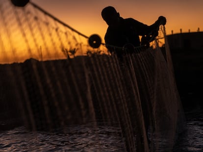 El pescador Ahmed Taktak prepara su material de pesca tradicional cuando llega la marea baja, en las Islas Kerkennah, en Túnez.