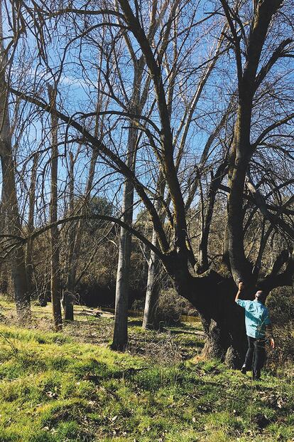 El Área Recreativa del Puente del Retamar es un espacio representativo del ecosistema de ribera