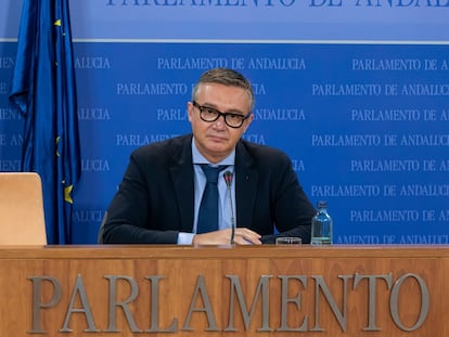 El portavoz de Vox en el Parlamento de Andalucía, Manuel Gavira.