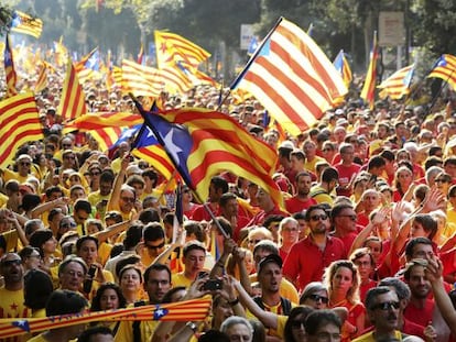 Una imagen de la manifestaci&oacute;n de la Diada en 2014.