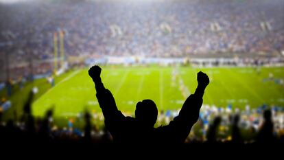 Fans celebrate at a football game