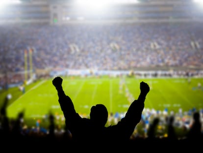 Fans celebrate at a football game