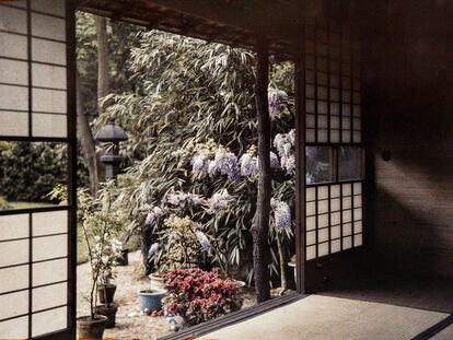 ‘Glicinia y azalea, vista desde la casa este del pueblo japonés’ (1925).