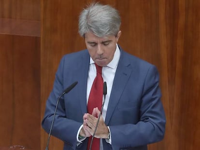 Ángel Garrido, en el pleno de la Asamblea de Madrid. 