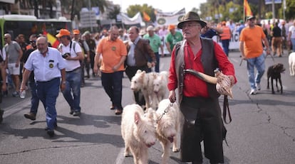 Participantes en la manifestaci&oacute;n celebrada en C&oacute;rdoba bajo el lema &quot;En defensa del Mundo Rural y sus Tradiciones&quot;.