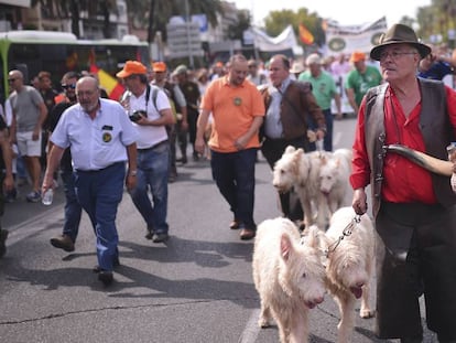 Participantes en la manifestaci&oacute;n celebrada en C&oacute;rdoba bajo el lema &quot;En defensa del Mundo Rural y sus Tradiciones&quot;.